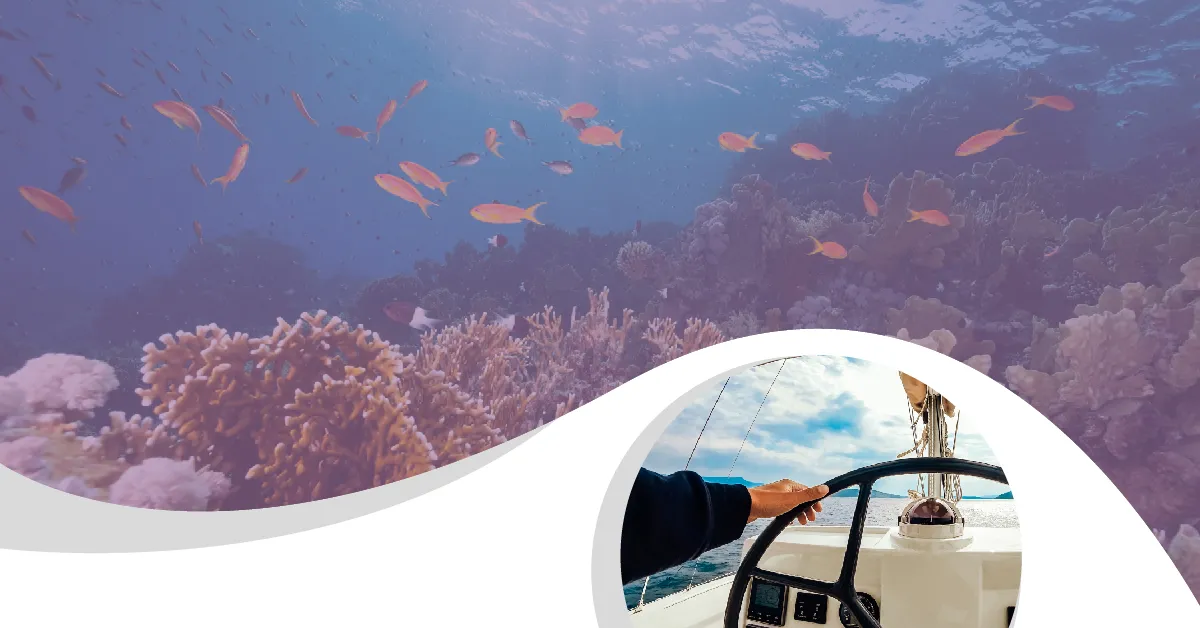 Proč fialový oceán? | Blog